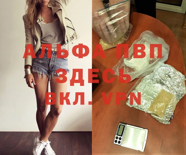 стафф Алексин