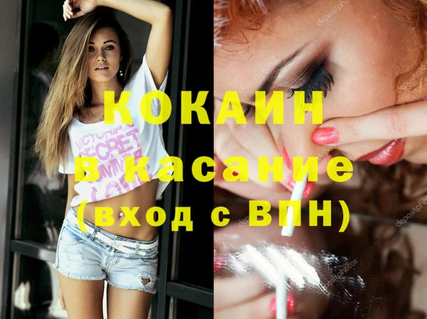 соль ск Алзамай
