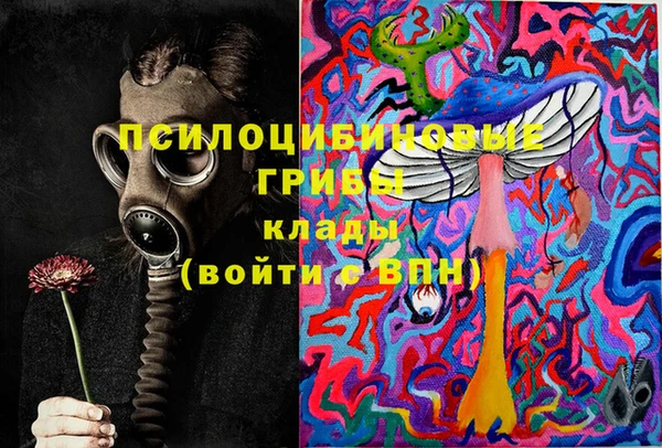 соль ск Алзамай