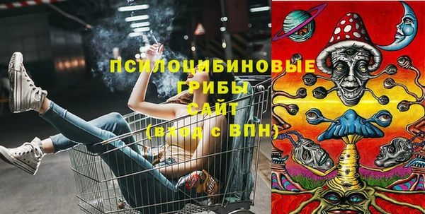 соль ск Алзамай