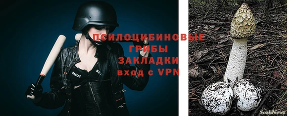 стафф Алексин